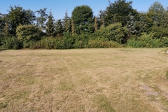 IMG_20200807_090549