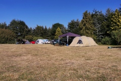 IMG_20200807_172729