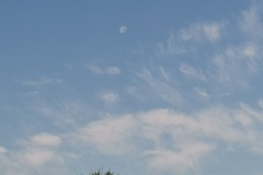IMG_20200808_083047