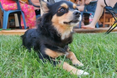 IMG_20200808_165521