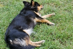 IMG_20200809_134151
